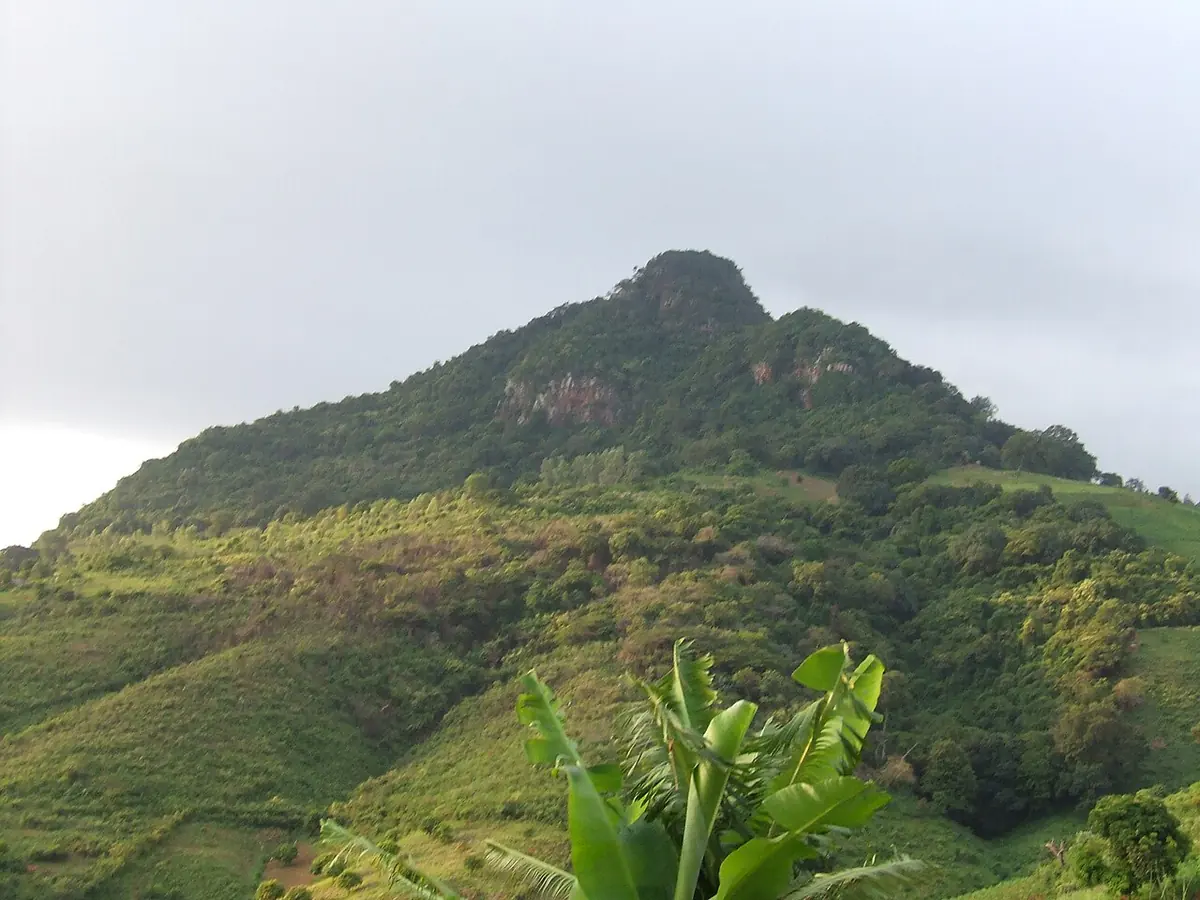 A steep green mountain with rocky cliffs at the top and banana leaves in the foreground