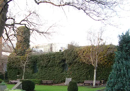 The ivy-covered ruined walls of St. Kevin's Church in a small Dublin park with lawns, benches and bare trees