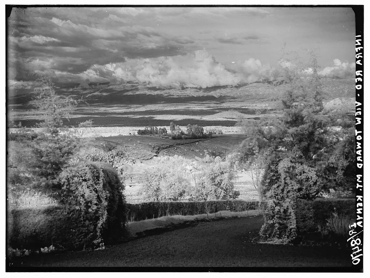 An old black-and-white photograph of rolling wooded country in the Nyeri district with the peaks of Mount Kenya on the horizon