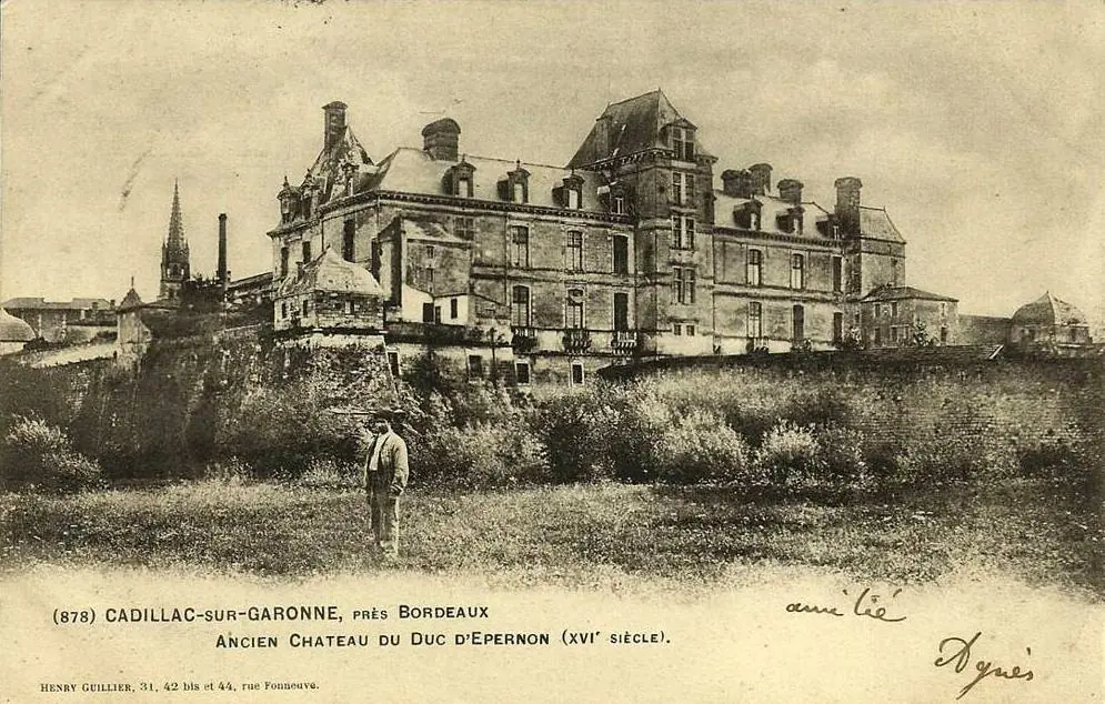 Old sepia postcard of a large French Renaissance castle with steep slate roofs and tall chimneys above an overgrown field, with a man standing in the foreground