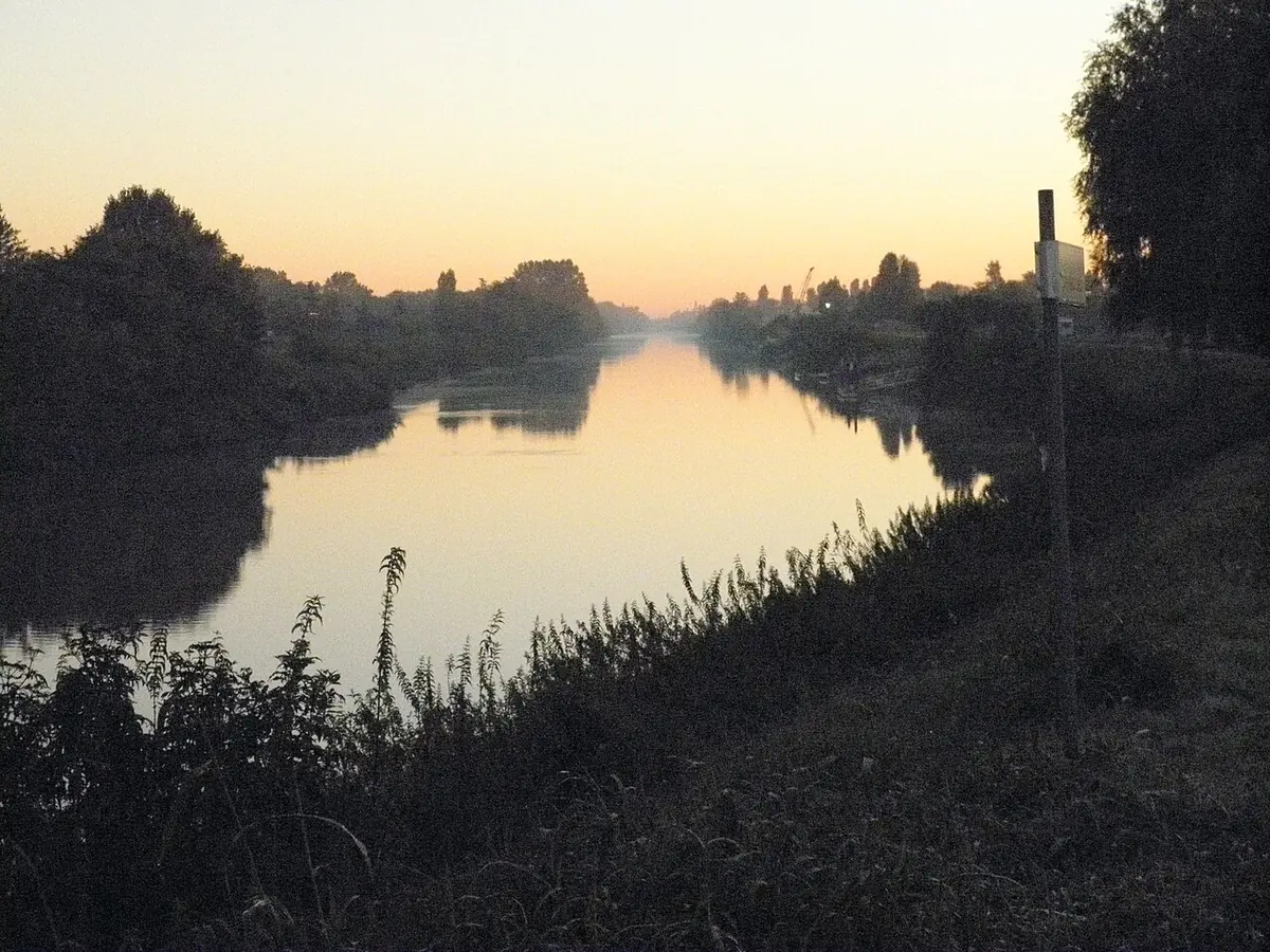 A calm river at sunrise between low wooded banks, with tall grass in the foreground and a pink sky