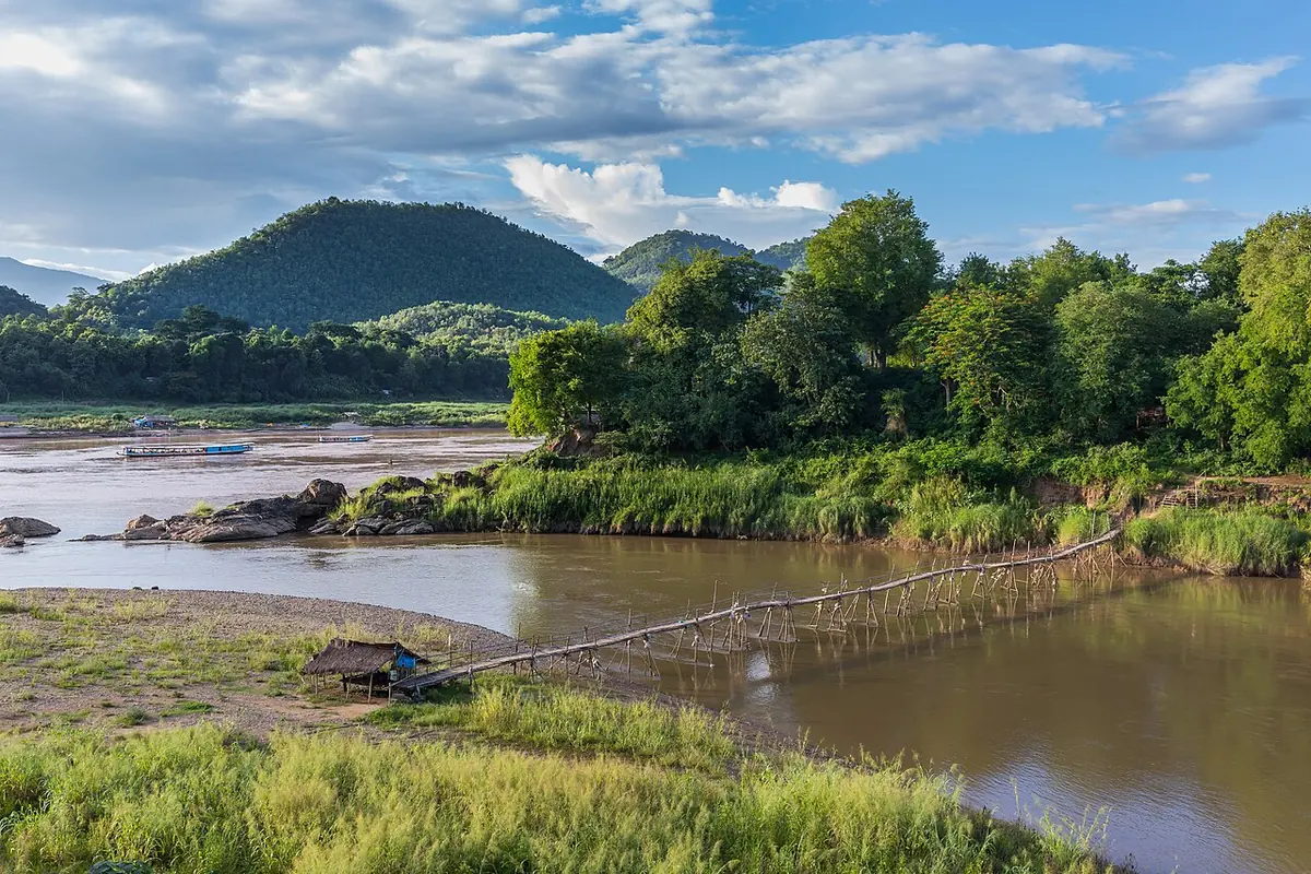 Green riverbanks and a rickety bamboo footbridge crossing a brown river below rounded jungle-covered mountains