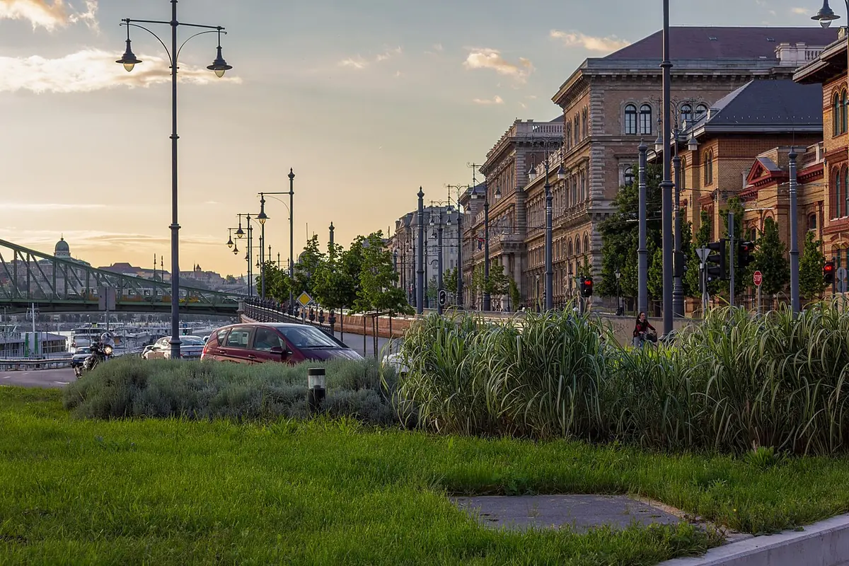 A Danube embankment in Budapest at evening, with tall grasses, lampposts and old buildings, and a green iron bridge in the distance