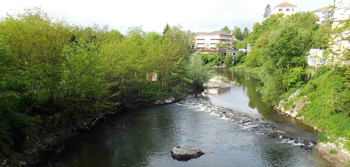A shallow river running over stones between thickly wooded banks near Dego