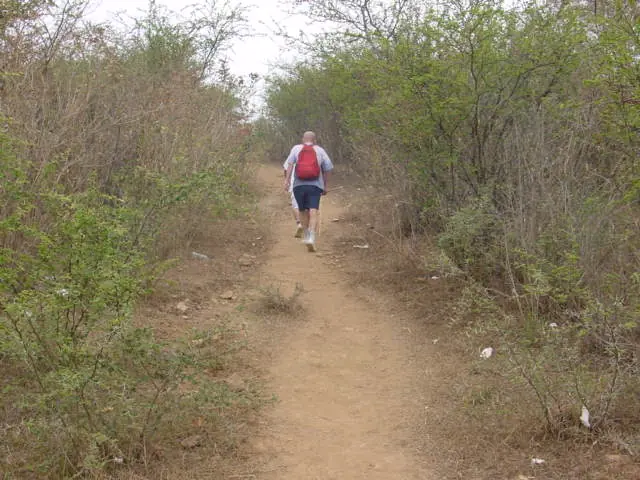 Un peregrino con mochila roja camina solo por una vereda de tierra entre matorrales secos, rumbo a Talpa