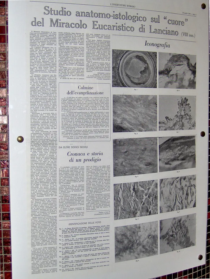 A framed newspaper page in Italian titled Studio anatomo-istologico sul cuore del Miracolo Eucaristico di Lanciano, with a grid of black-and-white microscope photographs