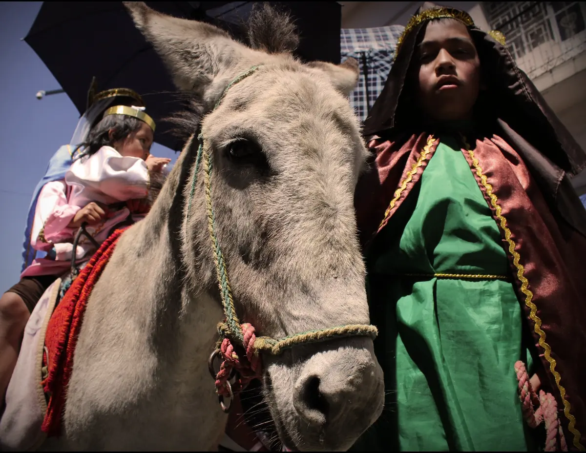 Un niño vestido de San José con túnica verde lleva de la rienda un burro gris en el que va una niña vestida de la Virgen con un muñeco del Niño, en la procesión de Nochebuena