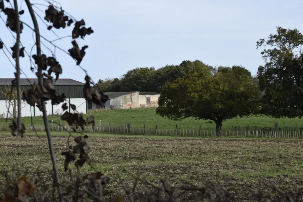 A plowed field in the foreground and a low line of old walls and farm buildings among trees on gently rising ground, the site of the Axholme Charterhouse