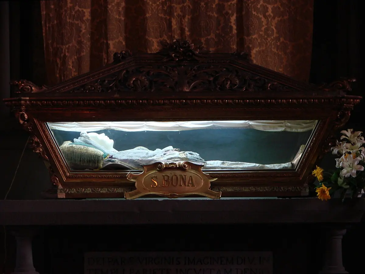 A carved wooden reliquary urn with glass sides holding a veiled figure, with a gilded plaque reading S. Bona, flowers beside it