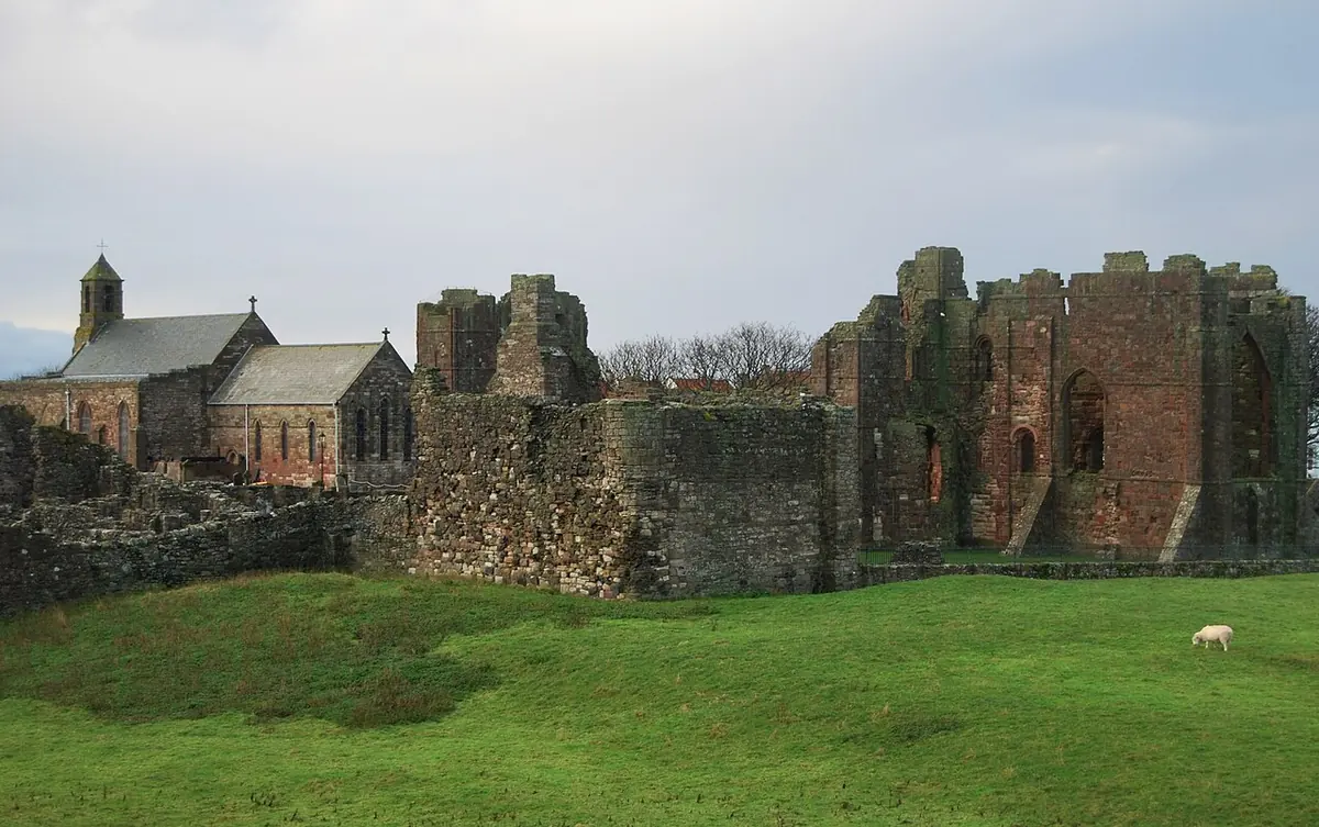 Red sandstone ruins of a medieval priory and a small stone parish church on a green island under a gray sky, a sheep grazing in the foreground