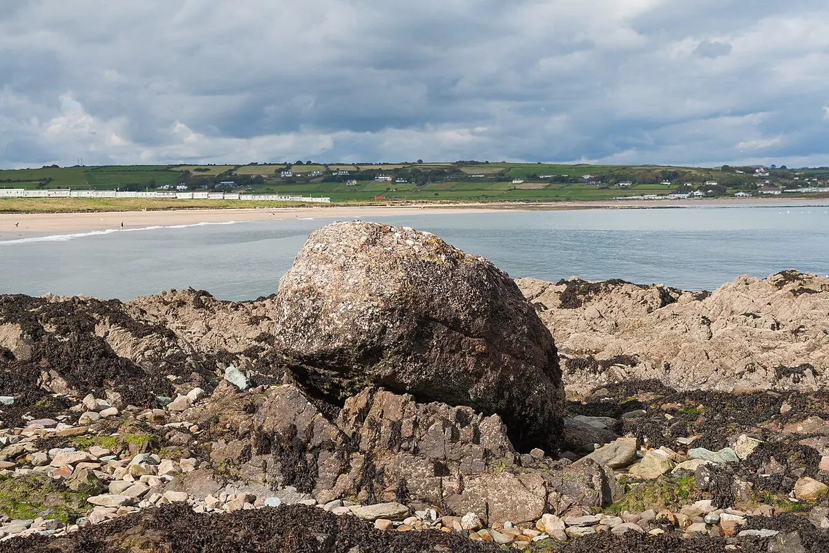 Large rounded gray boulder resting on low rocks on the shore, with the bay and green fields behind