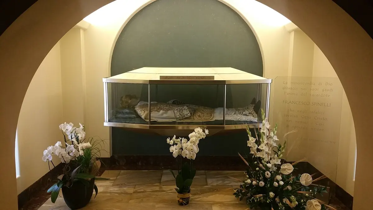 A glass casket holding the vested figure of St. Francesco Spinelli in an arched niche, with white orchids and flowers in front