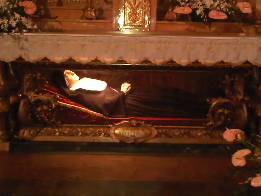The figure of a nun in a black habit and white veil lying in a gilded glass shrine beneath an altar, lit by warm light