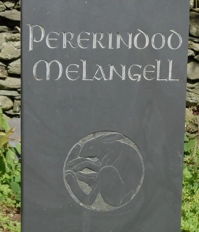 A dark slate marker carved with the words Pererindod Melangell above a circle containing a carved hare