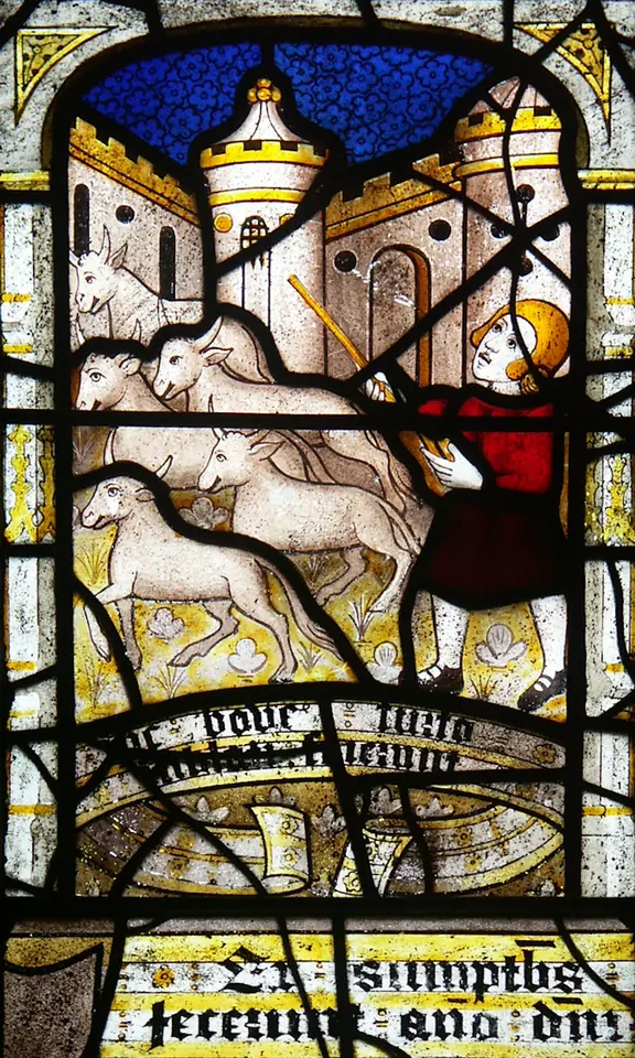 Medieval stained-glass panel of a man in red driving a group of white oxen past a castle-like building, above a scroll of black-letter text