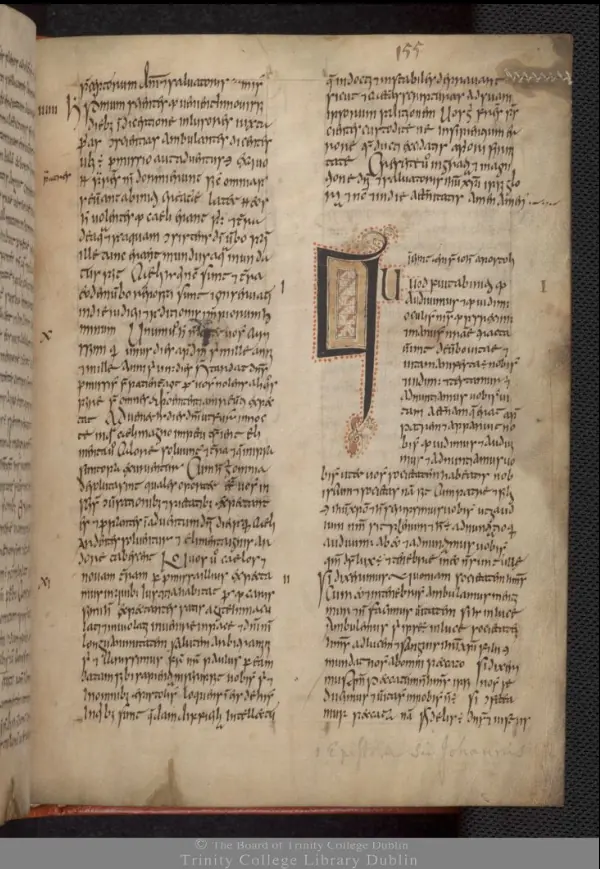 A vellum manuscript page written in two columns of dense brown Irish minuscule script, with one large decorated initial letter