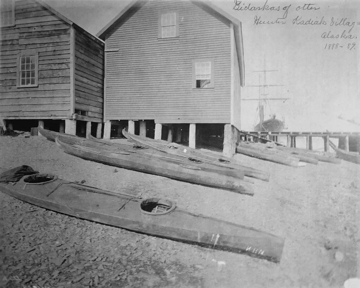 Old photograph of several long skin kayaks lying on a beach in front of wooden buildings in a Kodiak village