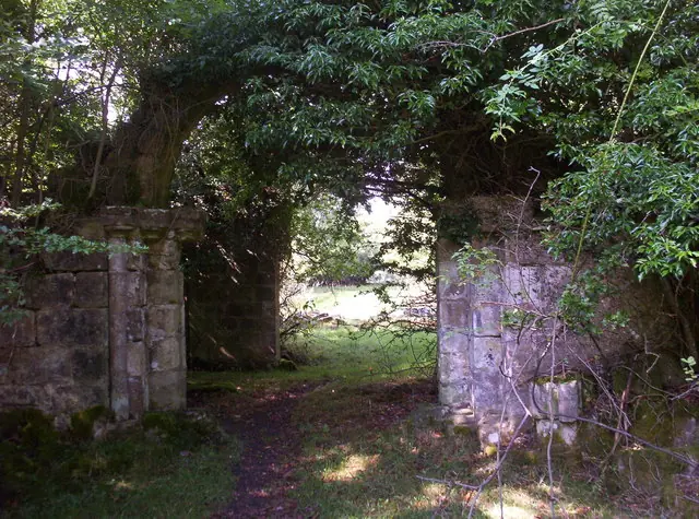 Moss-covered stone pillars and a rebuilt doorway of a ruined abbey cloister, half hidden under trees and undergrowth