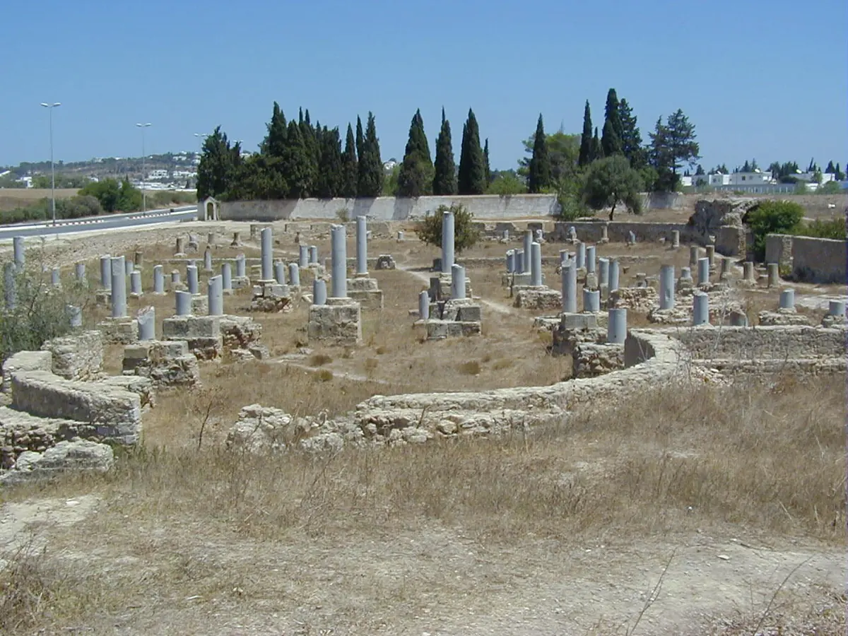 Rows of broken stone columns and low walls of an ancient Christian basilica in Carthage, with cypress trees behind