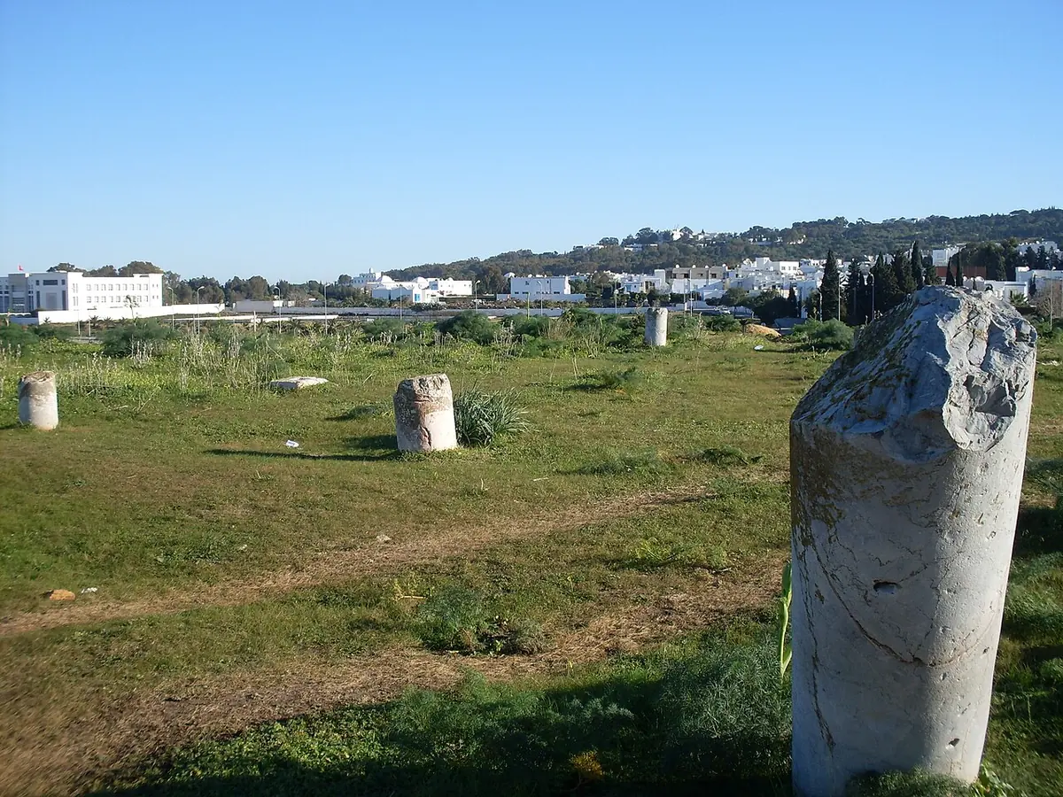 Broken stone column stumps standing in a grassy field at Carthage, with white houses and trees in the distance